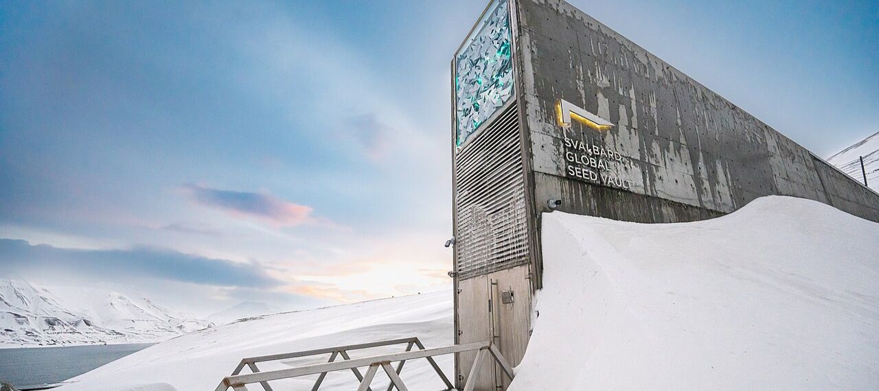 doomsday seed vault 