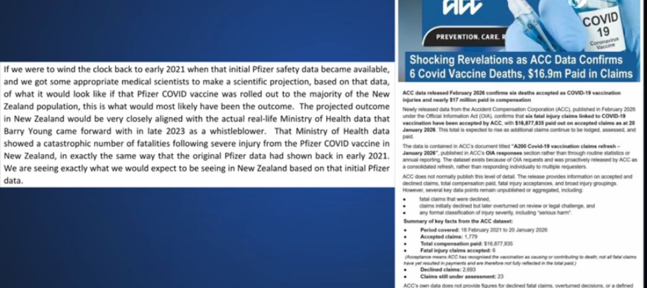 nz covid inquiry detail