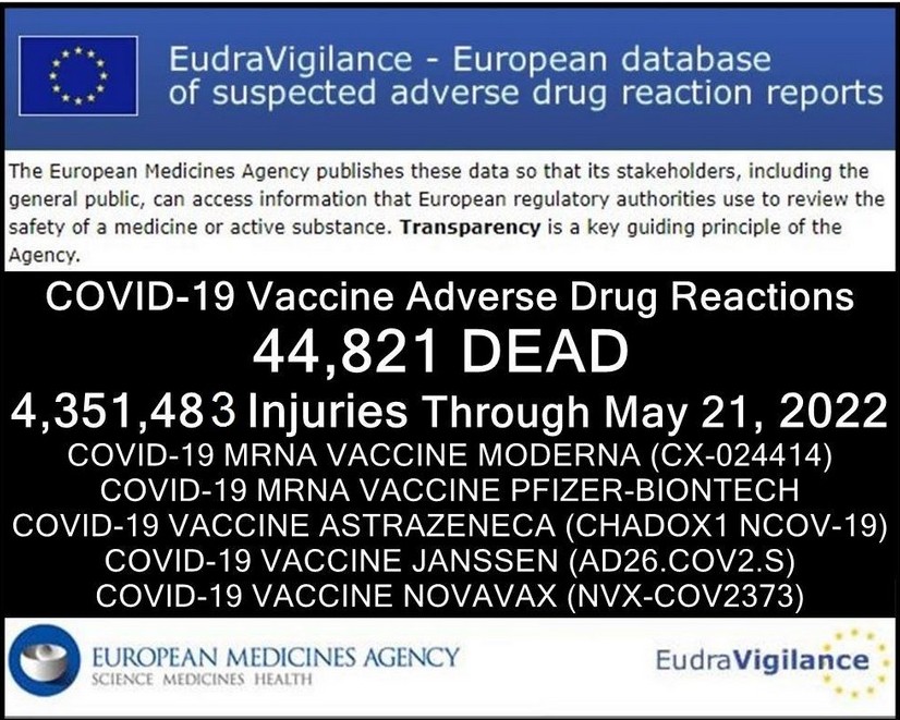 statistical chart of EU deaths from covid vax