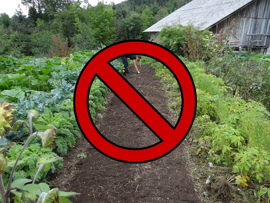 vegetable_garden_with_red_banned_symbol