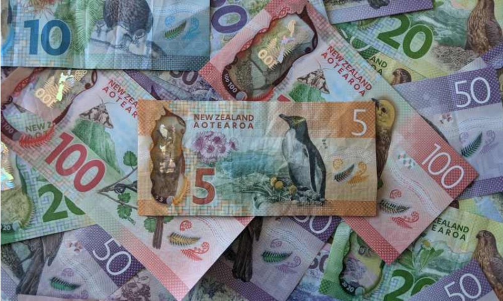 many NZ money notes