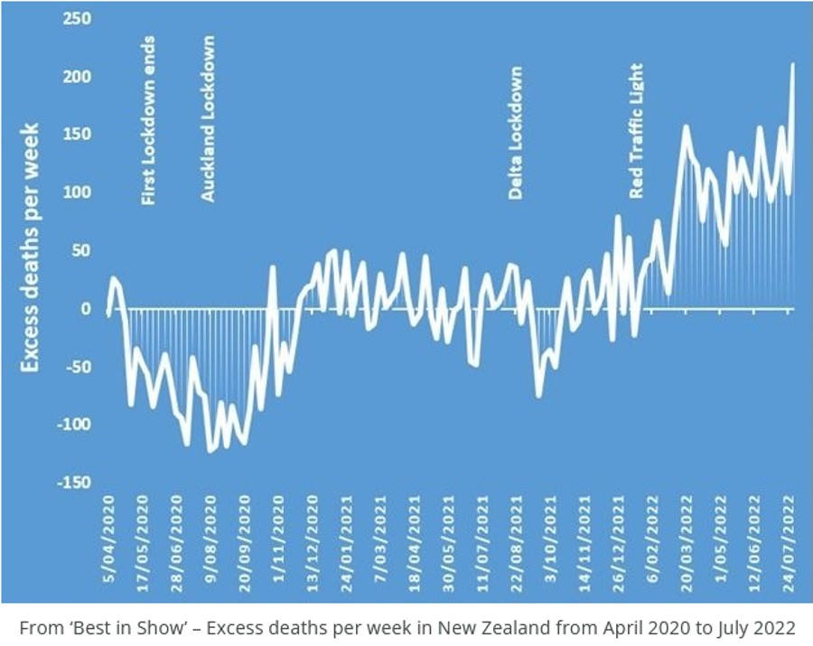 Astonishing Temporal Relationship Between Covid Boosters and Excess Mortality NZ Doctors Speaking Out With Science2