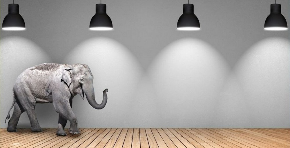 elephant in room with 4 lamps overhead