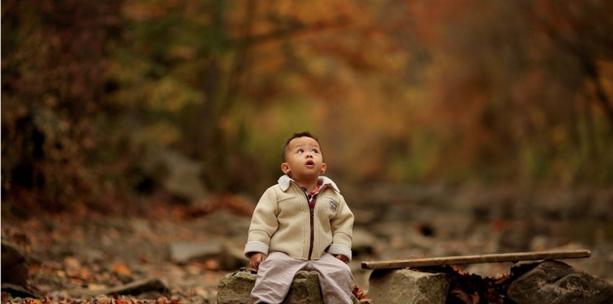 small child seated in the forest