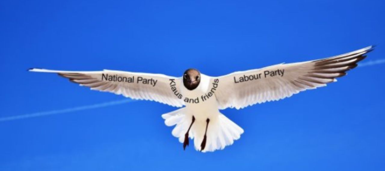 uniparty nz pixabay.com image edited