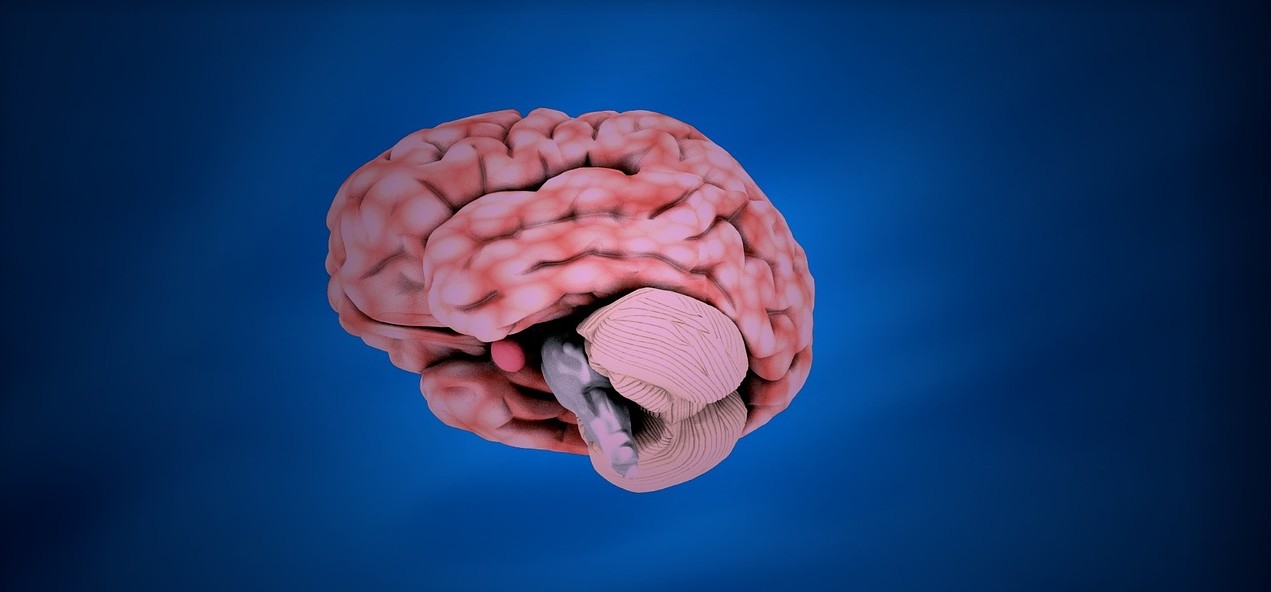 hand with human head and brain