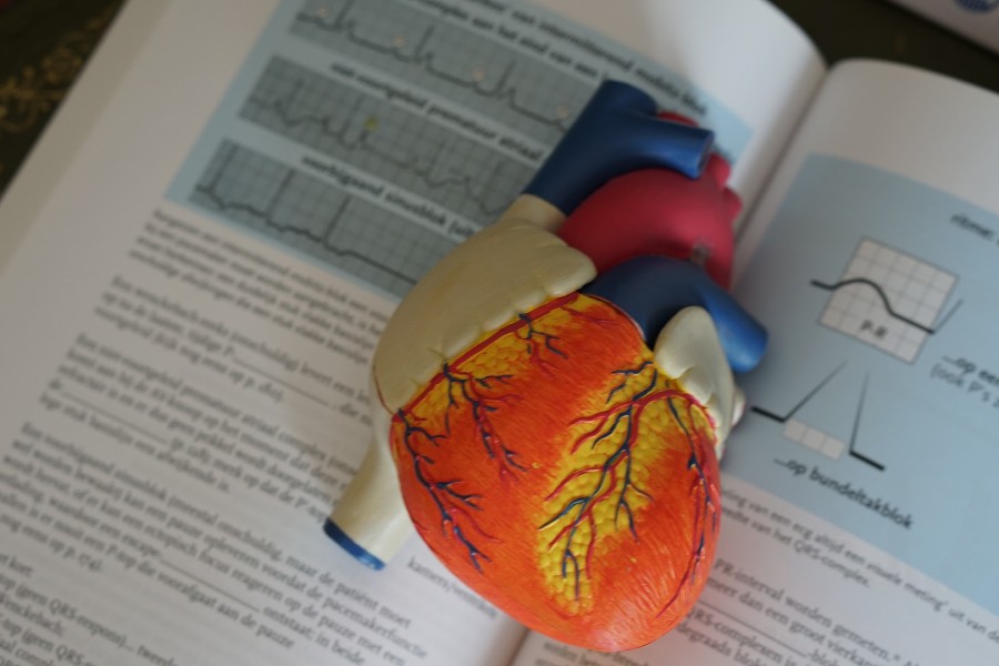 heart_with_text_book