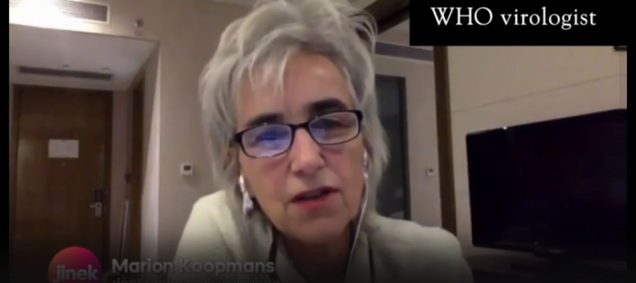 Marion Koopmans WHO virologist
