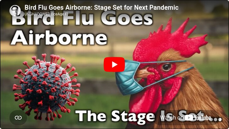 Screenshot 2026 05 29 at 20 05 43 Bird Flu Goes Airborne Stage Set for Next Pandemic