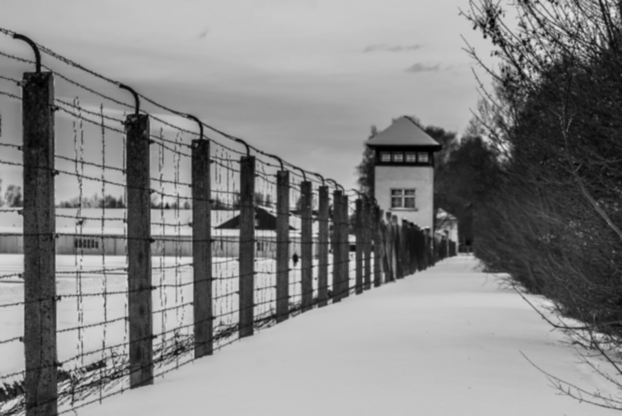prison-camp