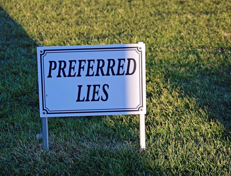 sign-preferred-lies